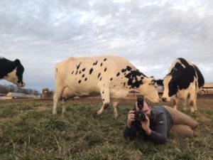 Jeff Fyke (Fyke Photography) behind the lens, shooting Kasia and her son in a field with cows